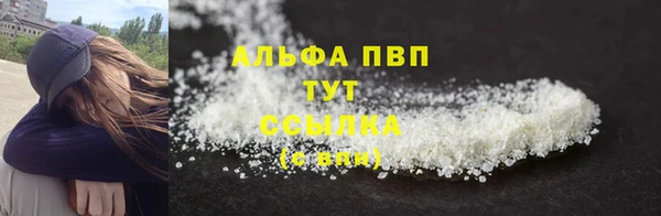сатива Арсеньев