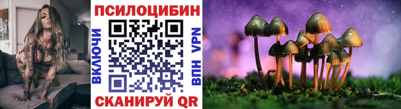 хочу   Татарск  Псилоцибиновые грибы мухоморы 