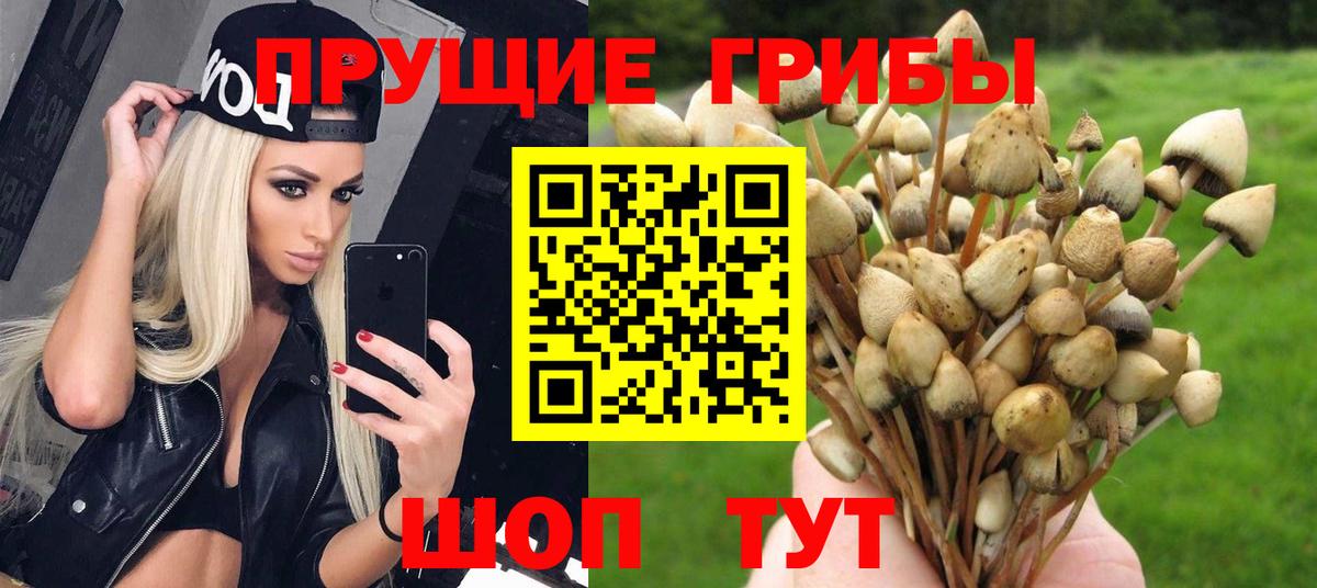 Псилоцибиновые грибы GOLDEN TEACHER  Вход с VPN  Галлюциногенные грибы MAGIC MUSHROOMS  Татарск 