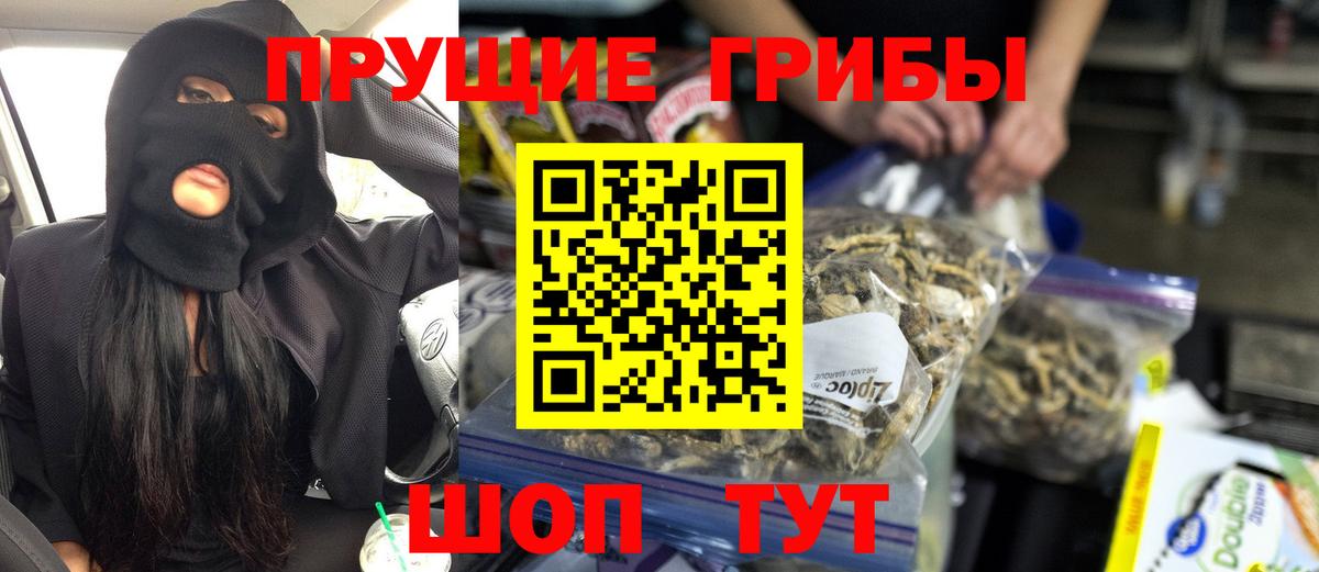 Галлюциногенные грибы прущие грибы Татарск
